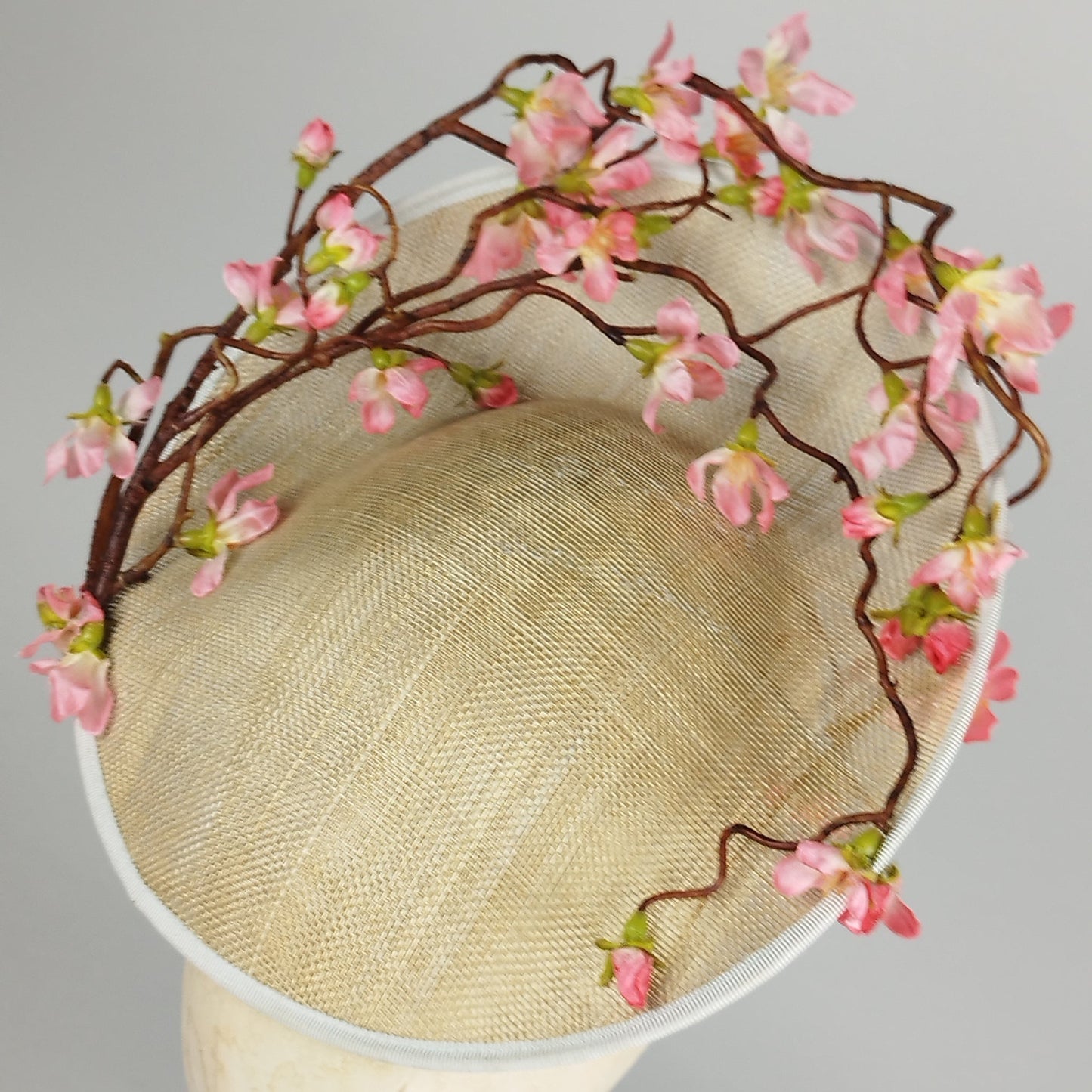 Cherry Blossom Reverie