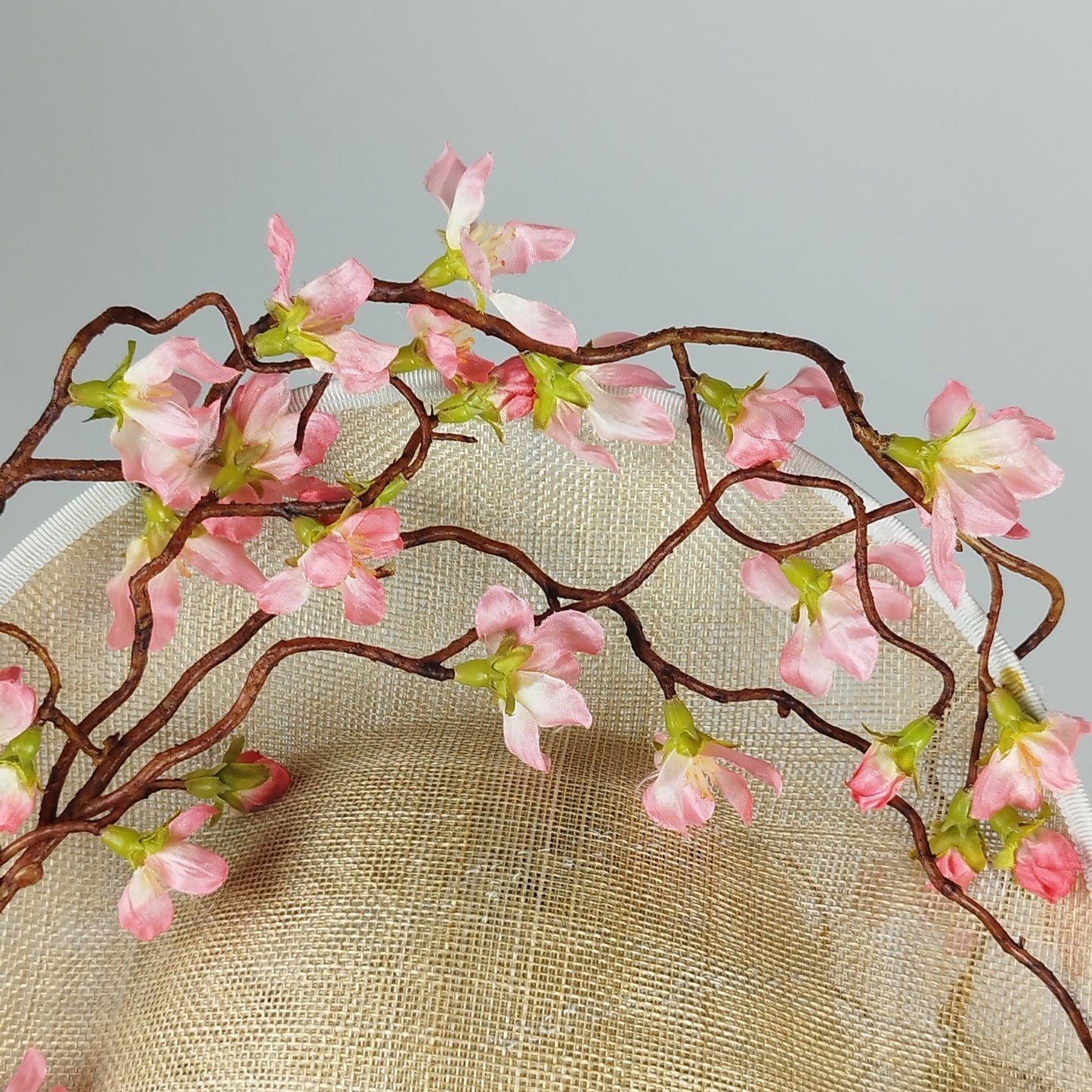 Cherry Blossom Reverie