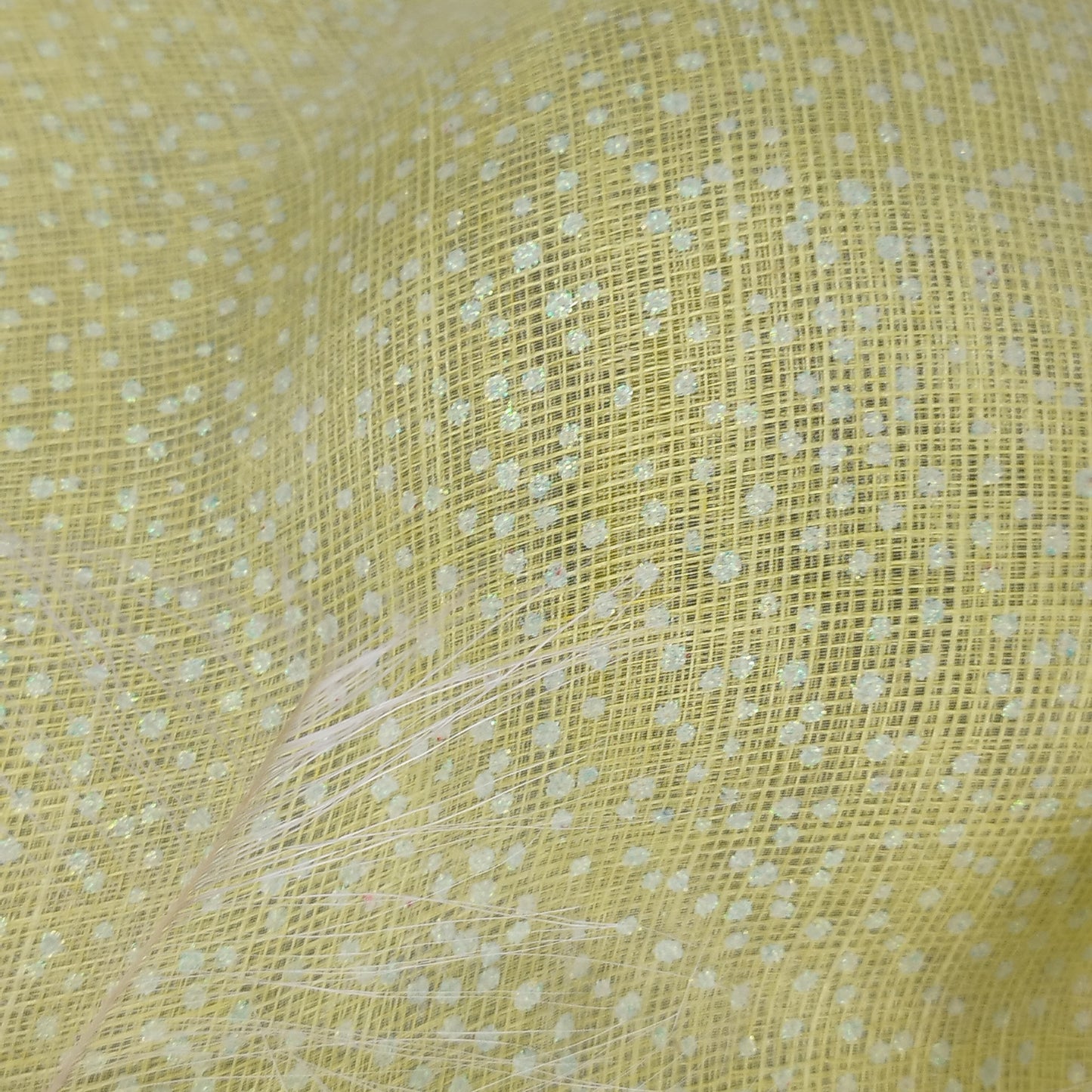 Lime Zest