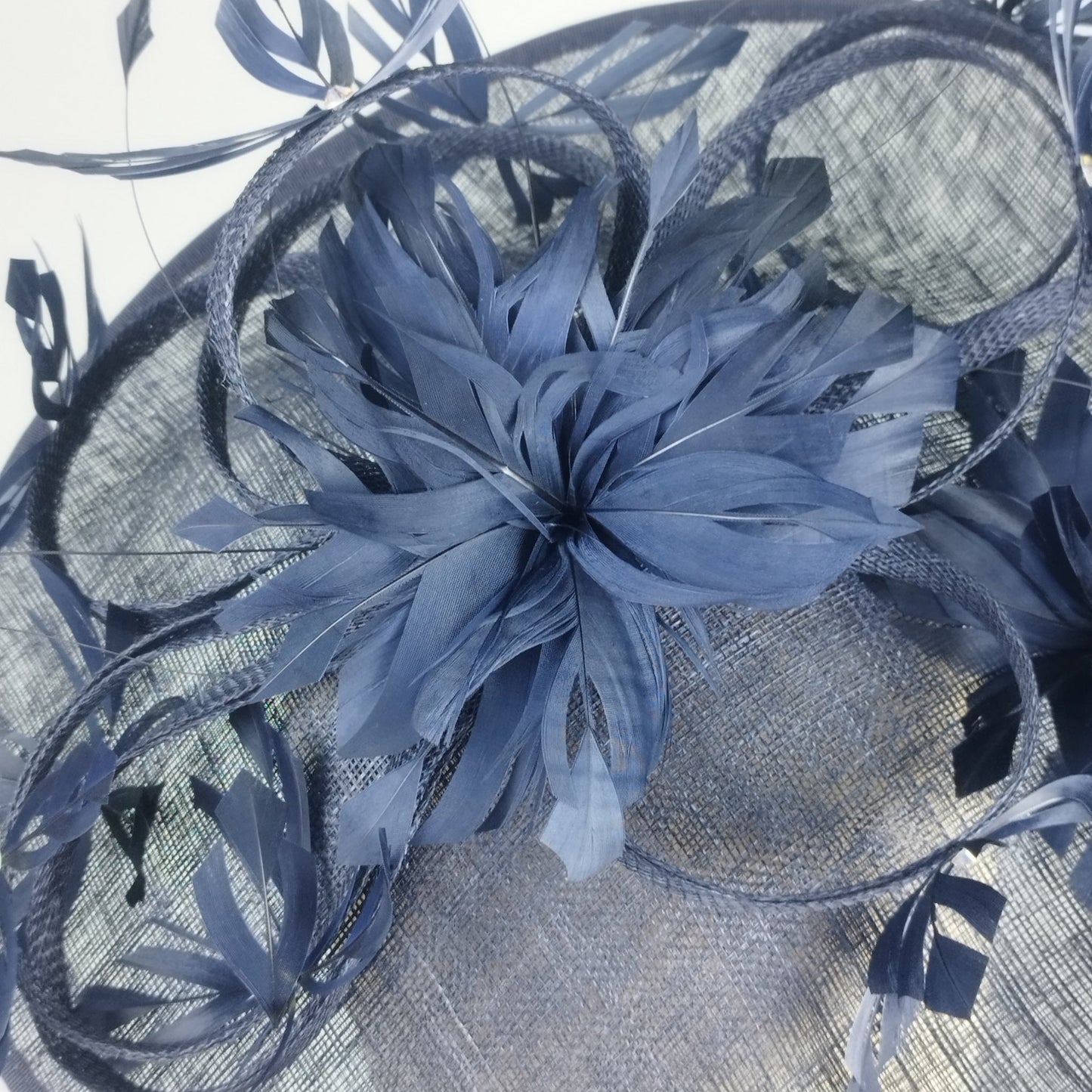 Midnight Bloom
