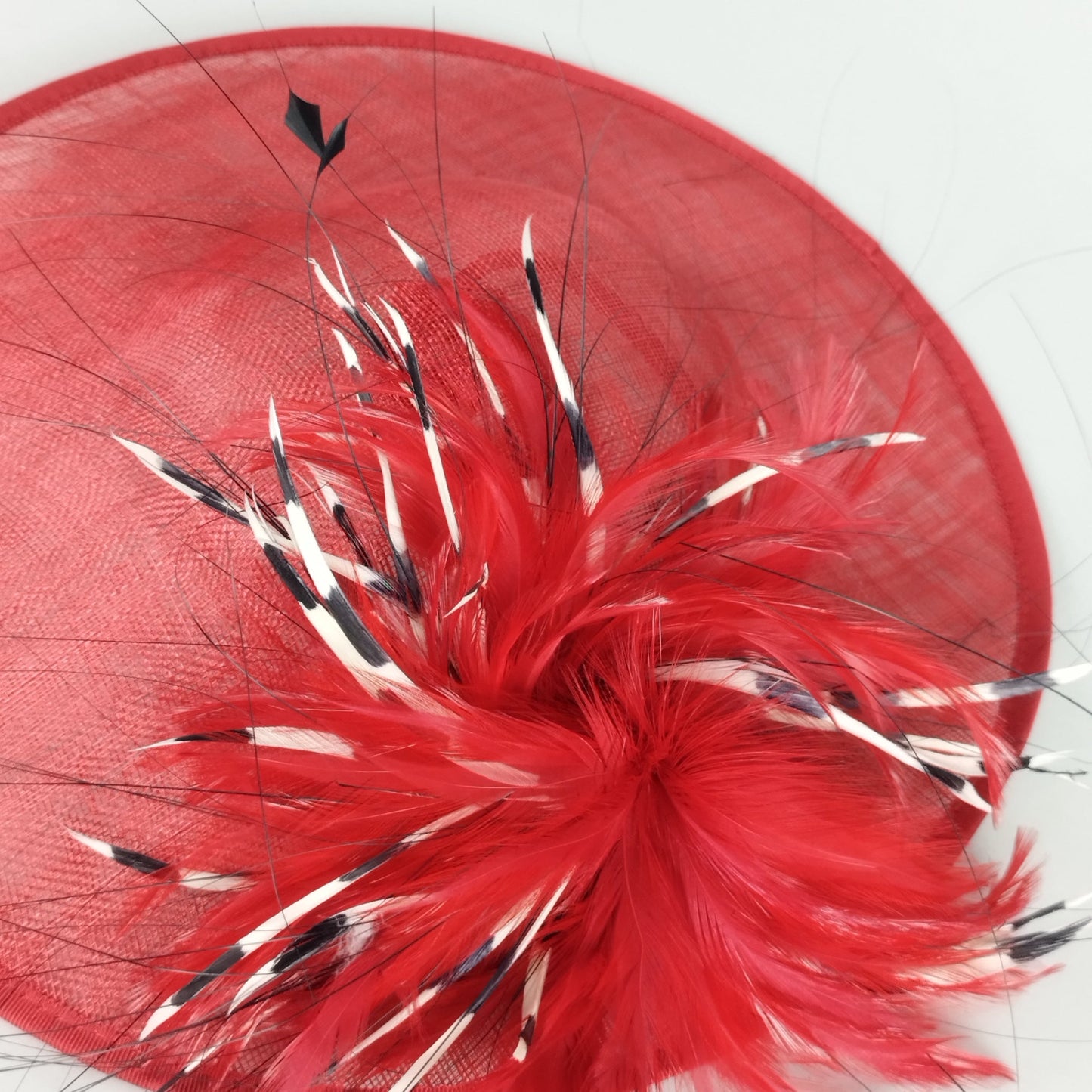Scarlet Whimsy