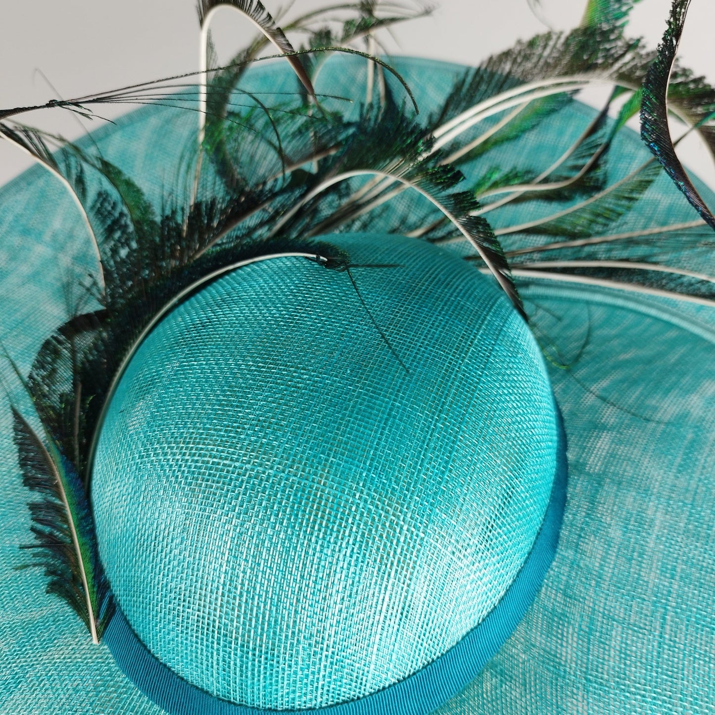 Twirling Peacock