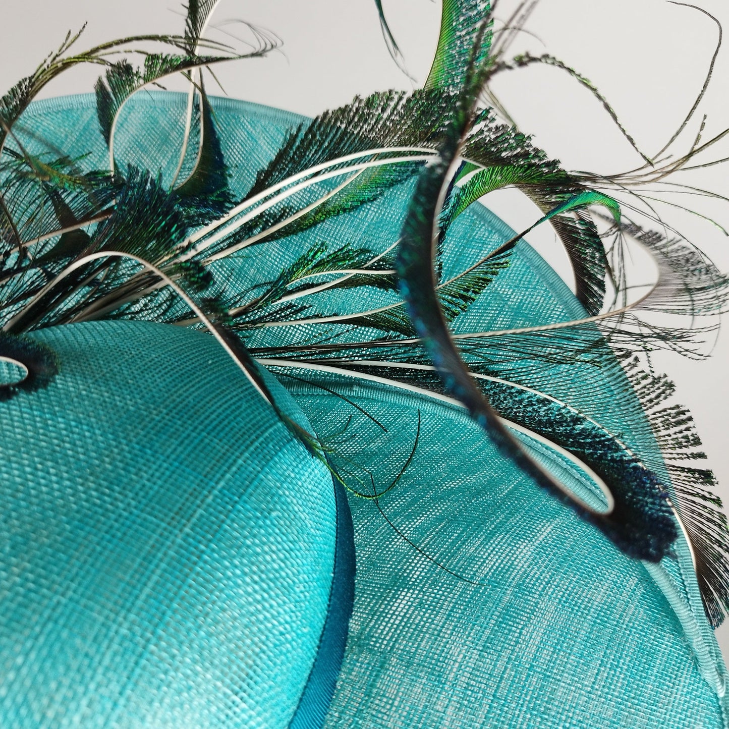 Twirling Peacock