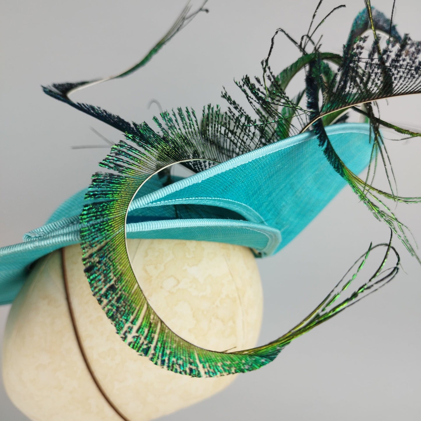Twirling Peacock